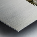 Eurasian wigeon female Anasmereca penelope Metal print