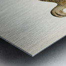 Mallard female Anas platyrhynchos Metal print