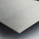 Blackbird ♀ Turdus merula Metal print