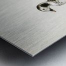 Harelda Hyemalis Metal print