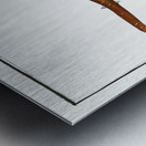 Thornback Raja clavata Metal print