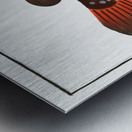 Toadfish Tetrodon Testudineus Metal print