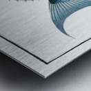 Bleu-Fish Coryphaena coerulea Metal print