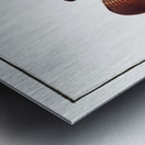 Ongoe Holocentrus ongus Metal print