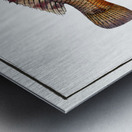 Norvegian Lutian Lutianus Norve Metal print