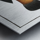 Black-fin Labrus melapterus Metal print