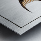 Double-Streaked Wrasse Labrus bifasciatus Metal print