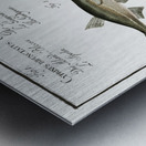 1. Sperlin Cyprinus bipunctatus 2. Bitter-Carp Cyprinus Gobio 3. Bitter-Carp Cyprinus Amarus 4. Bleak Cyprinus Alburnus 5. Minow Cyprinus Phoxinus Metal print