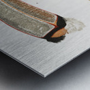 Toco foot beak and tongue  Metal print