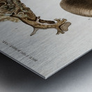 Different types of mollusks Metal print