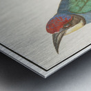 European bee eater in vintage style Metal print