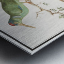 Sunbirds in vintage style Metal print