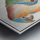 Swan in vintage style Metal print