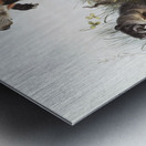 Woodchuck Arctomys monax  Metal print