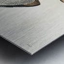 Bartram Sandpiper Metal print