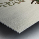 Columbian Humming Bird Metal print