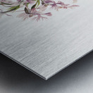 Large Purple Fringe–Orchid Habenaria grandiflora 1926 Metal print