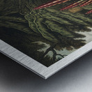 The Maggot–Bearing Stapelia Metal print