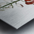 The Chinese Limodoron  Metal print