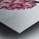 The Pontic Rhododendron Metal print