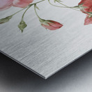 Pink boursault rose Metal print