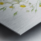 Vintage musk rose Metal print