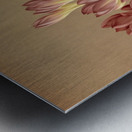 Album van Eeden : Haarlems flora : 1872-1881 Metal print