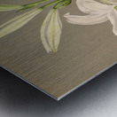 Album van Eeden : Haarlems flora : 1872-1881 Metal print