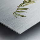 Adam & needle illustration  Metal print