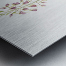 Brown widelip orchid illustration  Metal print