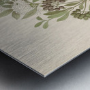 Pavetta caffra [Pavetta lanceolata] 1817 Metal print