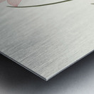 1. Zephyranthes Carinatus. 2. Zephyranthes Rosea. 1834 Metal print