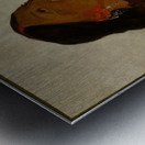 Wife of The Six 1832 Metal print