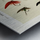 Trout Flies  Metal print