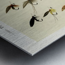 Trout Flies  Metal print