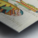 Colourful and surreal illustrations of fishes found in Moluccas Indonesia and the East Indies by Louis Renard 1678 -1746 from Histoire naturelle des plus rares curiositez de la mer des Indes 1754. Metal print