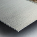 Black-fronted Dottrel Hiaticula nigrifrons illustrated by Elizabeth Gould 1804–1841 for John Gould’s 1804-1881 Birds of Australia  Metal print