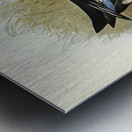 Variegated Shoveller Spatula Variegata illustrated by Elizabeth Gould 1804–1841 for John Gould’s 1804-1881 Birds of Australia  Metal print