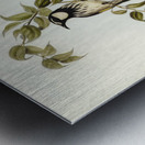 White-cheeked Honey-eater Meliphaga sericea illustrated by Elizabeth Gould 1804–1841 for John Gould’s 1804-1881 Birds of Australia  Metal print