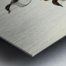 Rawnsleys Bower-bird Ptilonorhynchus Rawnsleyi illustrated by Elizabeth Gould 1804–1841 for John Gould’s 1804-1881 Birds of Australia  Metal print