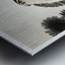 Hawk on pine branch 1900 - 1930 by Ohara Koson 1877-1945. Metal print