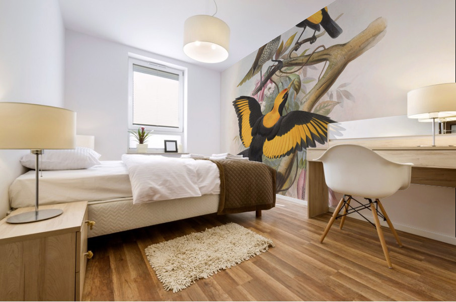 Sericulus melinus 1873 Mural print