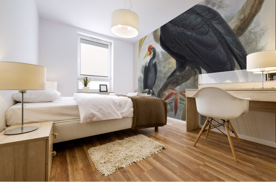 Cranorrhinus cassidix 1882 Mural print