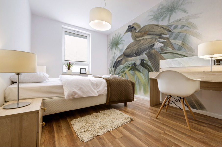 Lophoceros birostris 1882 Mural print