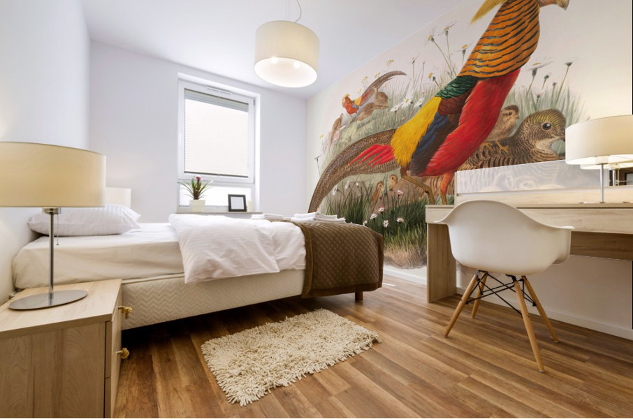 Thaumalea picta. 1872 Mural print