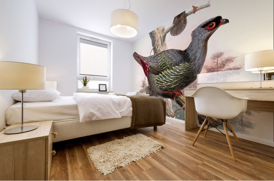 Ithaginis Geoffroyi. 1872 Mural print