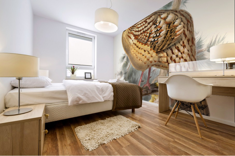 Ceriornis Caboti. 1872 Mural print