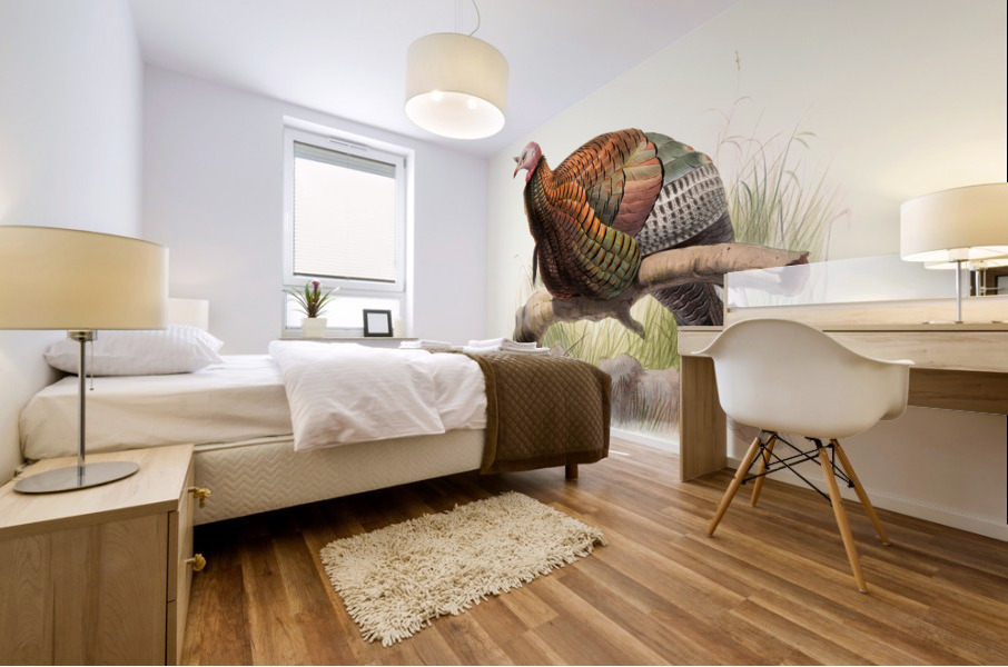 Meleagris Mexicana 1872 Mural print