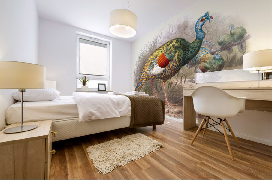 Melaeacris Ocellata 1872 Mural print