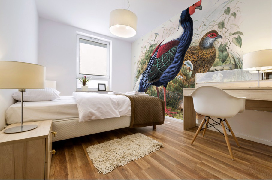 Euplocomus Swinhoei. 1872 Mural print